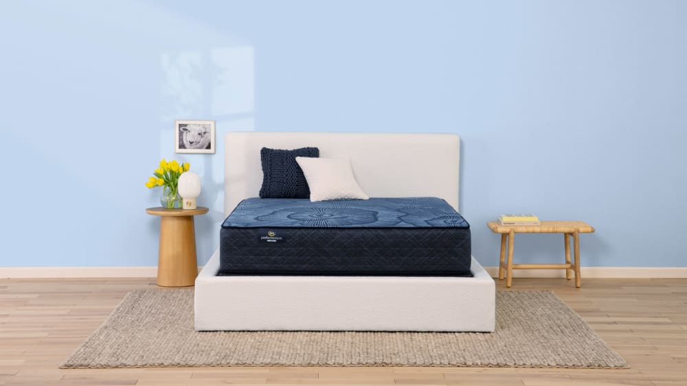 Euphoric Nights Plush Perfect Full Size Mattress