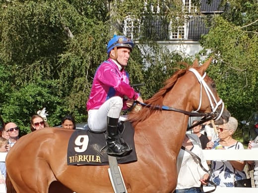 Queen Rouge utsedd till årets häst på Klampenborg