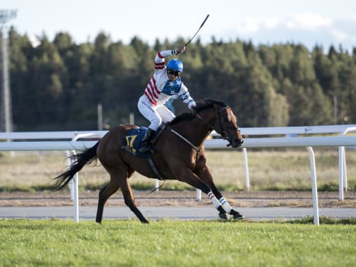 Kavalleriattack att vänta?