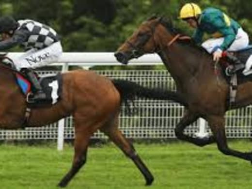 Swedish success at Newmarket