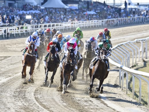 Dubbeljackpot på Grand Slam 75® med Svenskt Derby