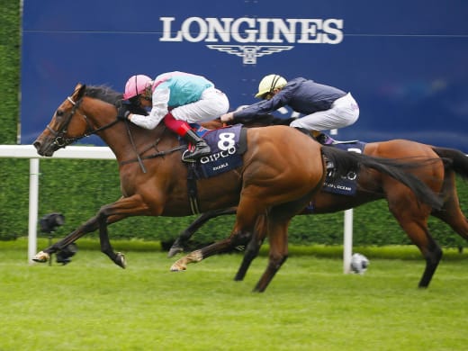 Enable tog hem King George