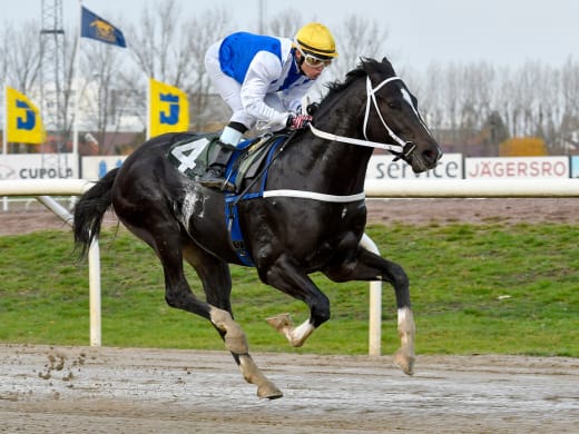 Trestjärnigt på Jägersro