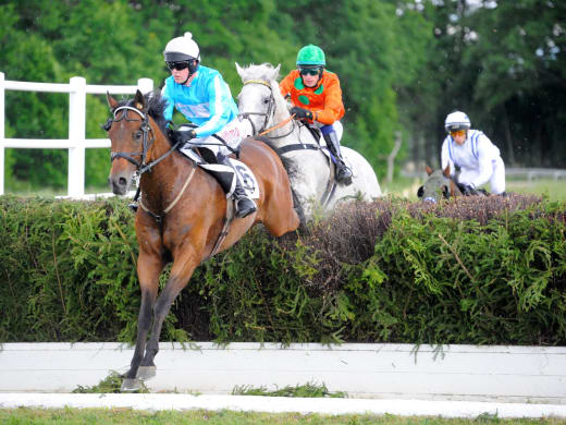 Dragen till Grand National