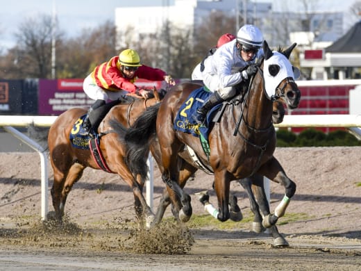 Jan-Erik Pettersson om kvällens hästar på Jägersro Galopp