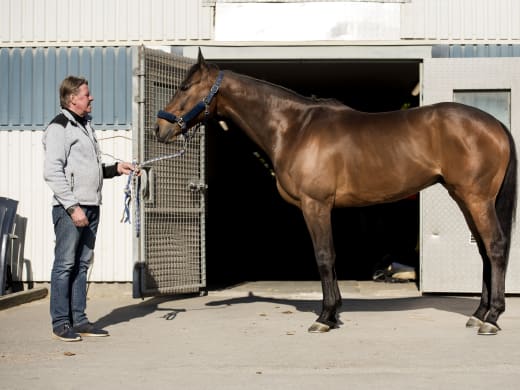 Hans-Inge Larsen om vårt drag Hills And Dales samt en outsider utanför streckspelet!