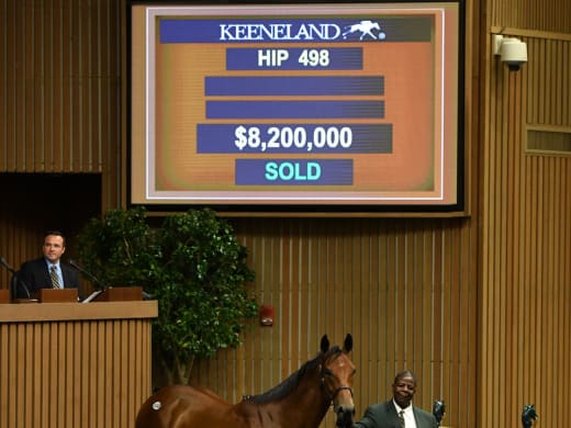 Rekordköp på Keeneland. 8,2 miljoner dollar!