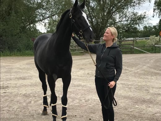 Irish Trilogy siktar mot stjärnorna