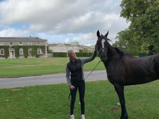 Blir det en Glorious dag för Irish Trilogy?