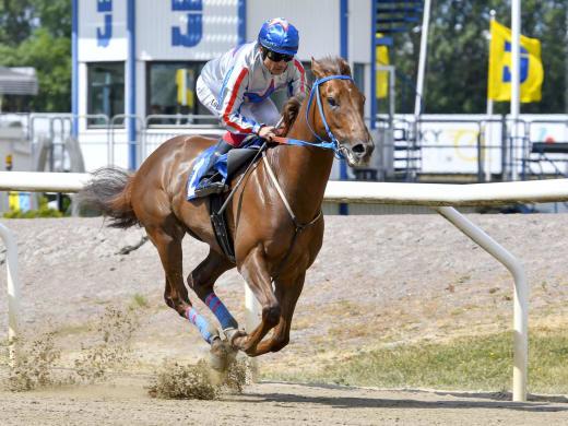 Sveriges snabbaste häst - och superloppet Pramms!