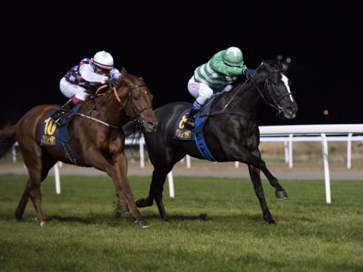 Irish Trilogy på Glorious Goodwood