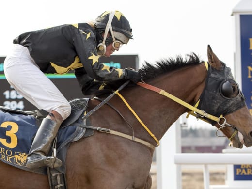 "Jag tycker att det är en toppchans"