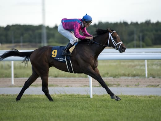 Kan King David överraska på fredagen?