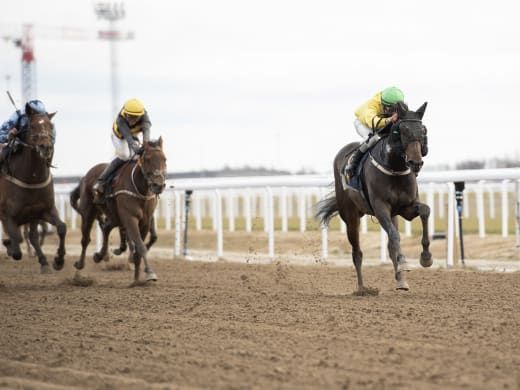 Vad säger Alice om favoritduon?