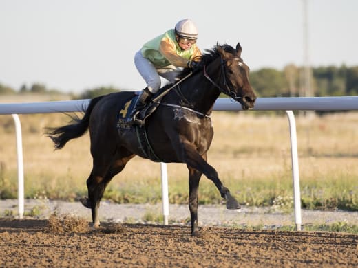 Seger nr 17 för Sandra Brolin