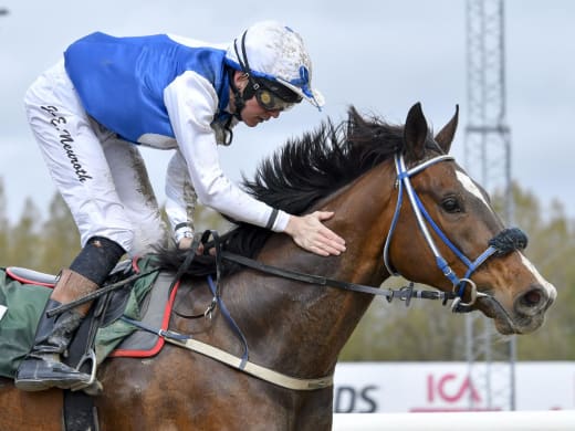 Oslo Cup står för dörren - vi kollar in favoriterna