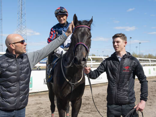 Junior om sina onsdagshästar på Bro Park