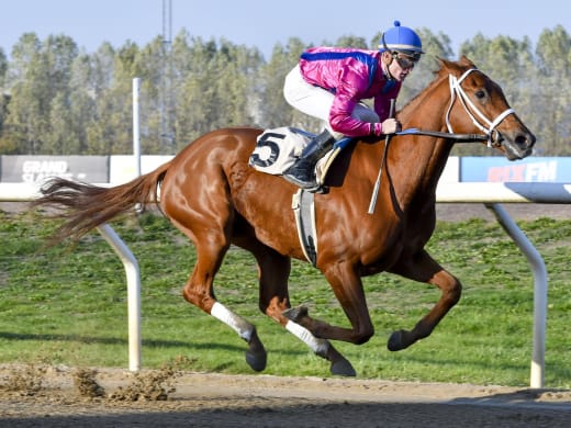Femstjärnig uppvisning av Queen Rouge på Klampenborg