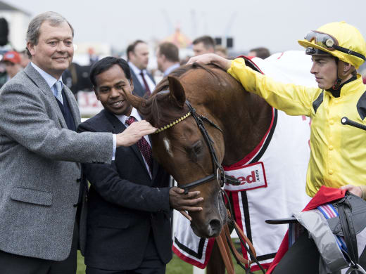 Champions Day samlar stjärnorna