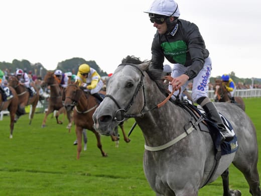 Royal Ascot: Se upp för grållen i stora handicapen!