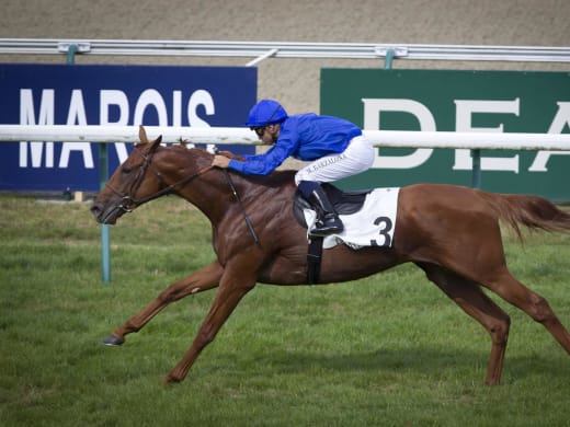 Australiensisk hinderhäst siktar på Cheltenham i mars