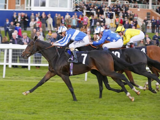 On the radar – hot horses to follow from last week’s UK racing