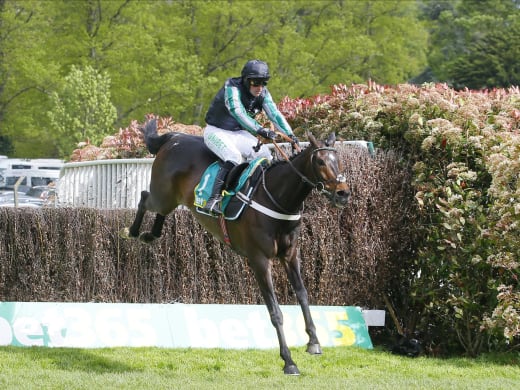 Altior vs. Cyrname – let’s get ready to rumble!