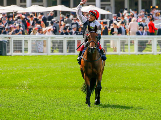 Star Catcher efteranmäls till Irish Oaks