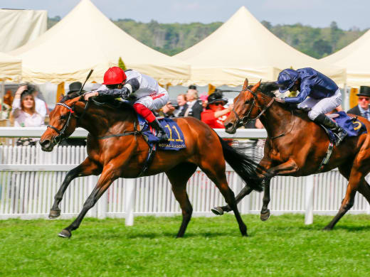 Belmont Oaks till Ballydoyle?