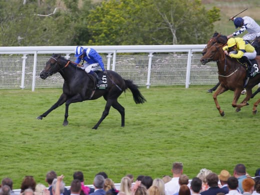 On the radar – hot horses to follow from last week’s UK racing