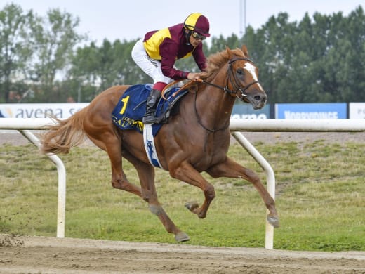 Red Cactus mot Stockholm Cup International (Gr.3)