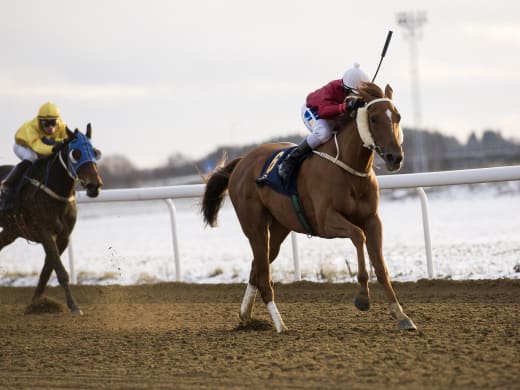 Lelles Legacy Swedish Open Mile (L) på onsdag