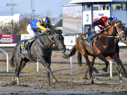Nyckeltränare på V64 - Lennart Reuterskiöld Jr