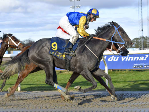 Becky Moss Fillies Mile = Lennart Reuterskiöld Jrs show