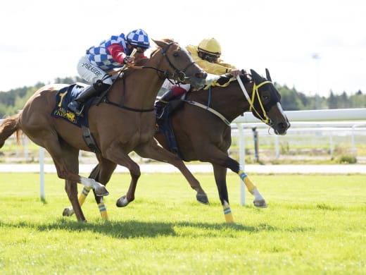 Silent Night tystar utmanarna?