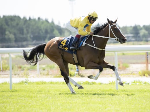 Anmält till Amacita