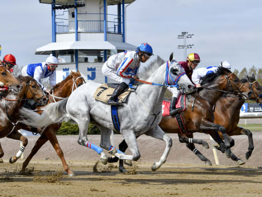 Plata O Plomo och Duca di Como i Prammstestet ITM Spring Mile