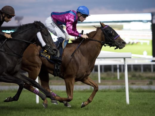 Adalöpning till Tante Tove