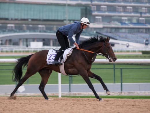 Startanmält till Meydan - hur ser det ut?