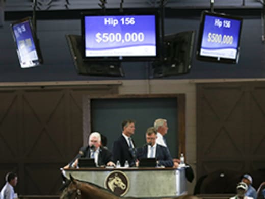 Street Sense avkomma gick för nära 5 miljoner