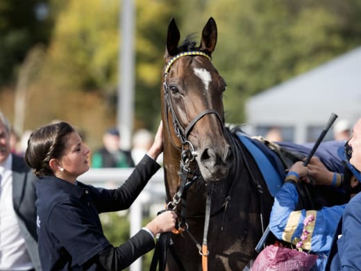 Tysk kvalitet i Pramms - den saken är klar