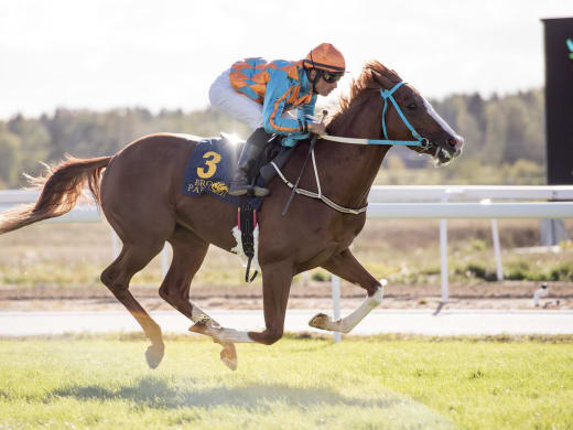 Yrroll - Patrick Wahl minns Erroll men baissar inför Trial