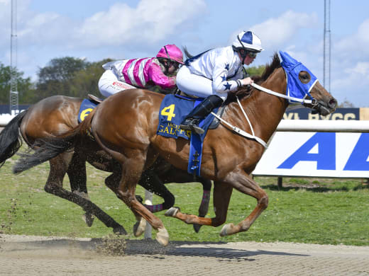Kan Point Boy spöa vår Jackpot-spik Buy And Sell?