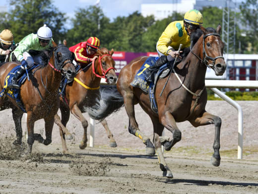 Oscar Berneklint om stallets två favoriter på Jägersro