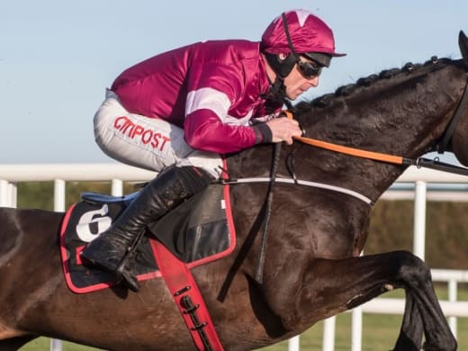 Grade 1 löpningar på Fairyhouse