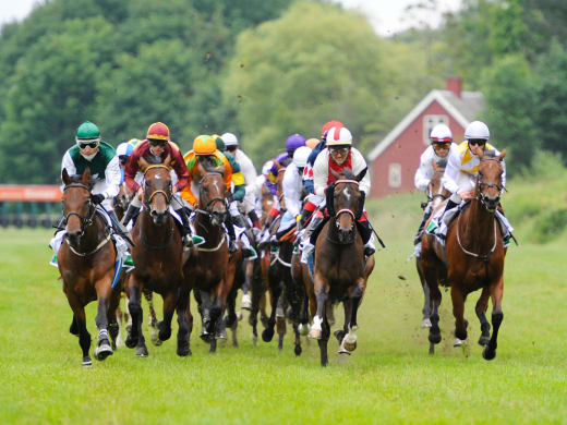 Flemming Velin tränade Christmas med Jacob Johansen infriade förväntningarna