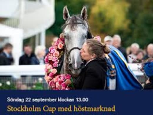 Spelrekommendation till Stockholm Cup