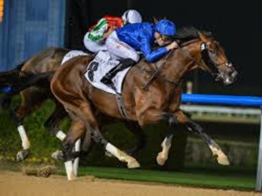 Inget Dubai World Cup 2020 för Thunder Snow