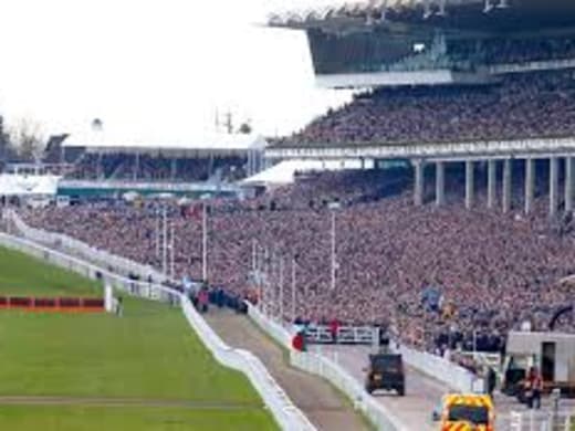 Dag tre på Cheltenham - vi har analysen klar