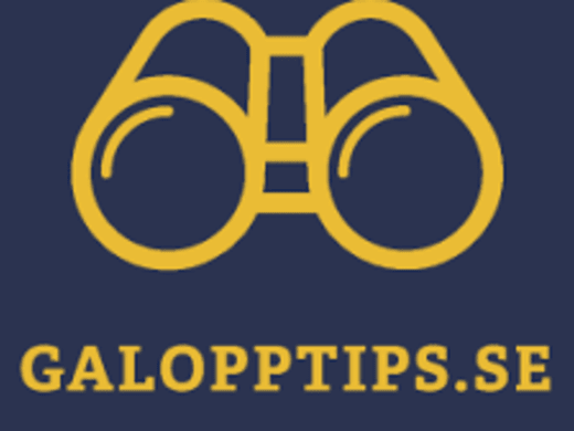 Vi satte både det lilla som stora V4-systemet på Bro Park. 15.039 kronor in!